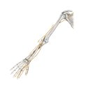 팔달쾌속한의원 이미지