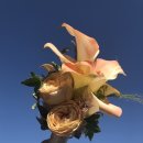 은하주막 이미지