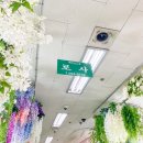 로사꽃도매