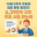 태백농협자동차정비센타 | [더이로운]10월 5주차 조달청 입찰 동향 총정리! 6,395억 규모 주요 사업 한눈에