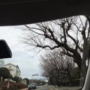 더힐시그니처작은도서관 | [해운대 달맞이길 카페] 온더힐 루프탑 카페 | 부산 오션뷰 데이트 코스 후기