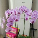 행정사 사무소 창 이미지