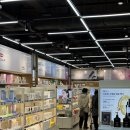 임 약국 | 용산 창고형 약국 성지 메디킹덤 약국 후기, 영양제 상비약 추천