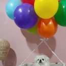 아담유치원 이미지