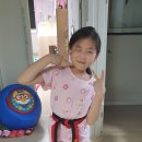 용인대 태풍태권도 이미지