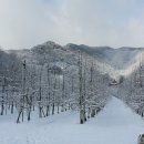 가을농원 네이버블로그