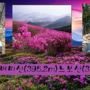 월산1리마을회관 이미지