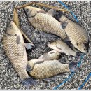 성호낚시터 이미지