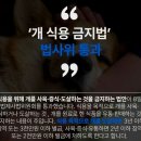 #3102 나는 누구인가? - 犬主世上(견주세상) 이미지