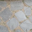 수목원동물병원 | 동화같은 동화수목원.. 원주 동화마을수목원