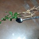 큰산농장 이미지