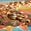 송정동물의료센터 이미지