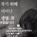 용종농장 이미지