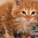 종합세차장 이미지