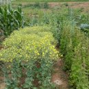 흥덕농장 이미지