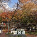 순환로 405번길 | 남산하늘숲길 가는 방법·코스·소요 시간 총정리 (유모차·반려견 정보 포함)