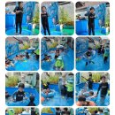 꿈동산어린이집 | 대구 서구 평리동 꿈동산 어린이집 졸업 후기｜공공형이라 믿고 맡긴 이유 (유치원 고민 끝)