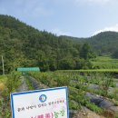 창선농장 이미지