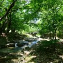 운룡보건진료소 이미지