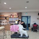 김성균애견미용학원 이미지