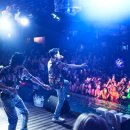 댕댕라운지 이미지