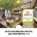놀숲나주