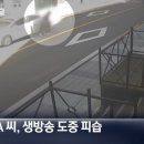 라이브타운