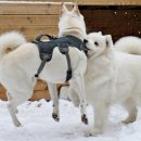 루이유치원 이미지