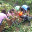 평강농장 이미지