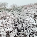 설악산 대청봉, 올 가을 '첫 눈' 1cm 가량 쌓여 이미지