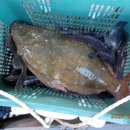 CU(대산삼길포점) 이미지