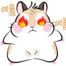 천사PC 이미지
