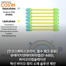 에이치엔뷰티