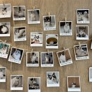 폴인캣츠 이미지