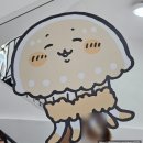 홍대 농담 | 홍대 나가노 마켓 팝업 농담곰 치이카와 누이구루미 쿠지 후기