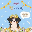 펫페스티벌 이미지
