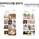 달빛하늘푸른공방 | 부천 소풍웨딩홀 홀패키지 연계 스튜디오 비교 총정리