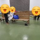 미들웨어 | 스키학교 고민된다면? 초등 1학년 아이의 무주스키 후기