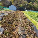 비봉농장 이미지