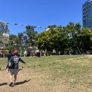 다지구장 이미지