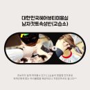 헤어뷰티 이미지