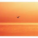 일출과 일몰 이미지