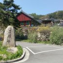 정견대 | 성주 심원사 성밖숲 후기(새불고기식당)