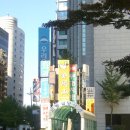 송백 티스토리