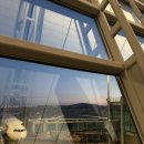 비지니스 | 티웨이 비지니스 세이버 후기 | 프랑크푸르트