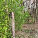 건지산숲속작은도서관 이미지