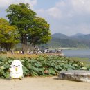 오베르쥬리오네즈
