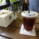 트루러브 이미지