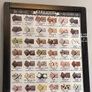 미스터브라우니 이미지