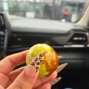 씨유 천안성환율금점 | 상큼 달달한 사과소스의 매력! 성환돈까스 맛집 율금리 돈까스 방문 후기